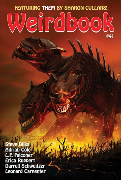 Cover image for book Weirdbook #41
