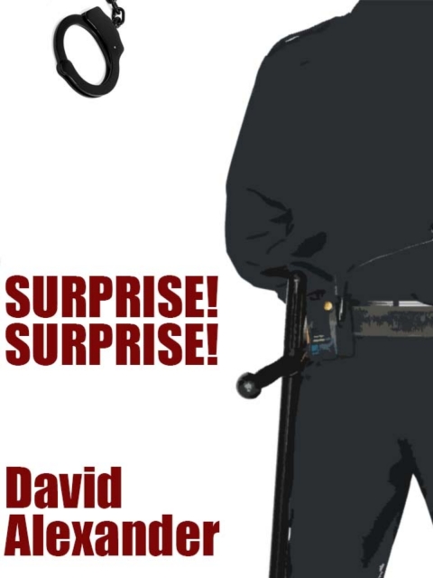 Cover image for book Surprise! Surprise!