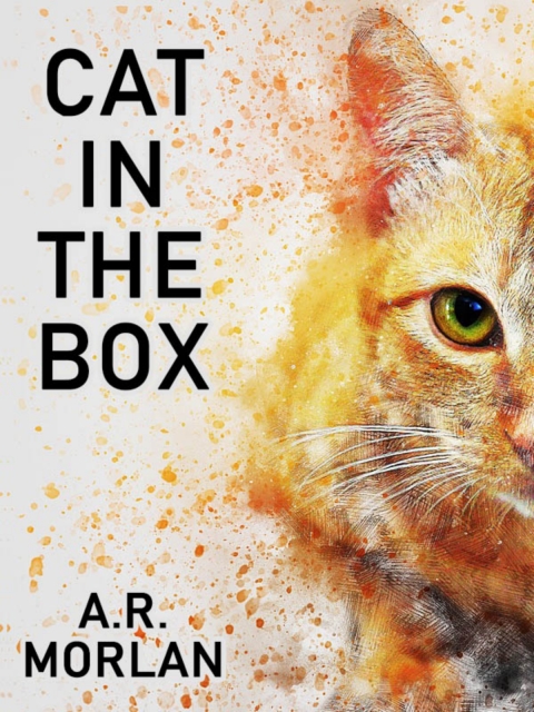Cover image for book Cat in the Box