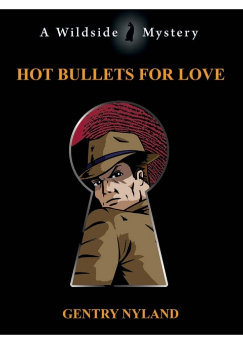 Cover image for book Hot Bullets for Love