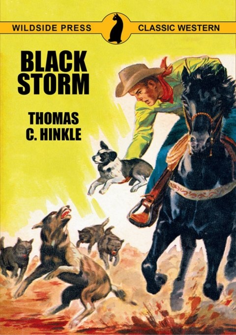 Cover image for book Black Storm