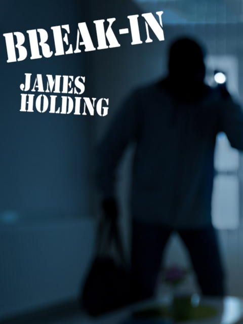 Cover image for book Break-In