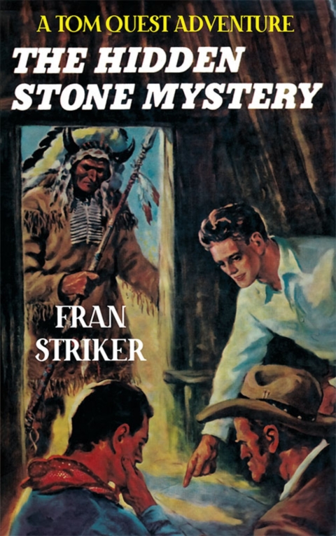 Cover image for book The Hidden Stone Mystery