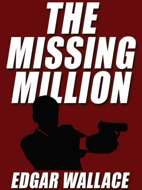 Cover image for book The Missing Million