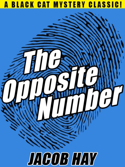 Cover image for book The Opposite Number