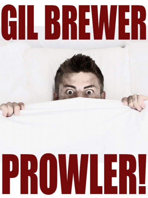 Cover image for book Prowler!