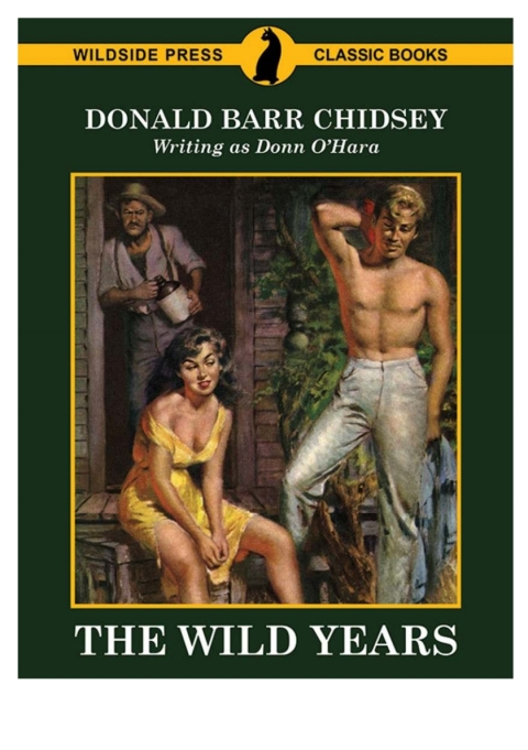 Cover image for book The Wild Years
