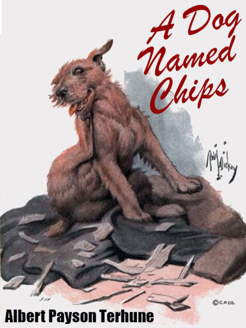 A Dog Named Chips 