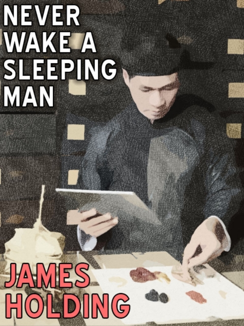 Cover image for book Never Wake a Sleeping Man