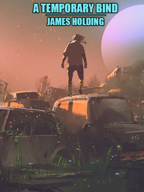 Cover image for book A Temporary Bind