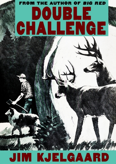 Double Challenge 