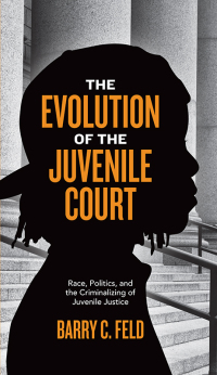 Titelbild: The Evolution of the Juvenile Court 9781479871292