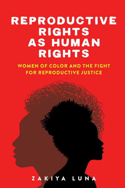 Cover image for book Reproductive Rights as Human Rights