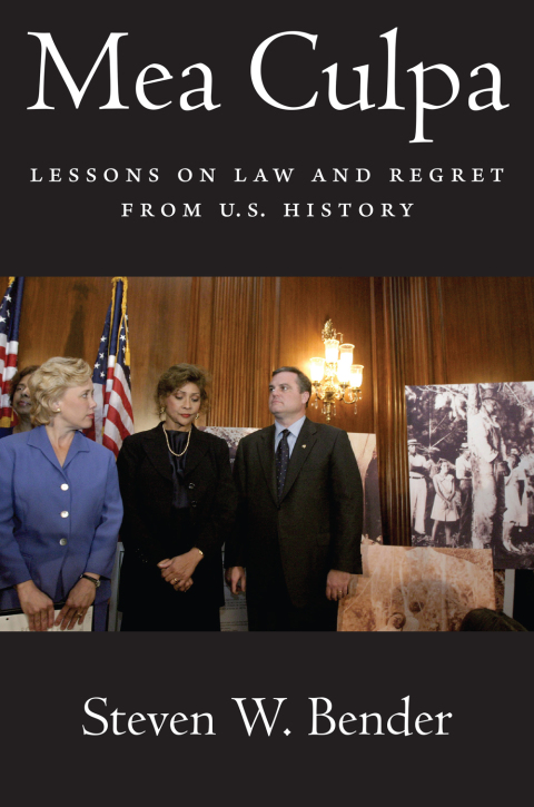 Cover image for book Mea Culpa