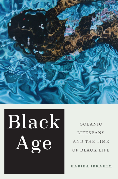 Cover image for book Black Age