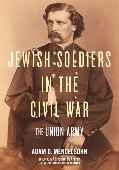 Cover image for book Jewish Soldiers in the Civil War