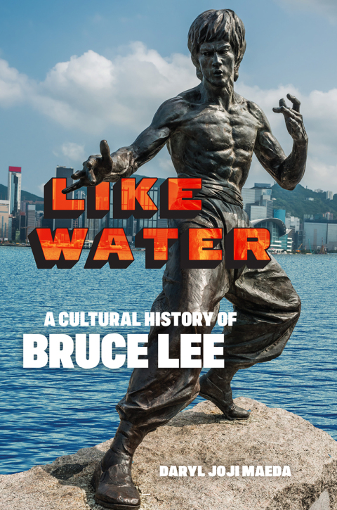 Cover image for book Like Water