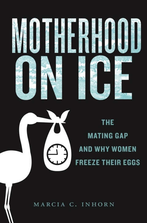 Cover image for book Motherhood on Ice