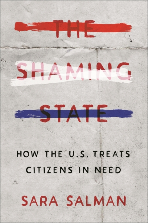 Cover image for book The Shaming State