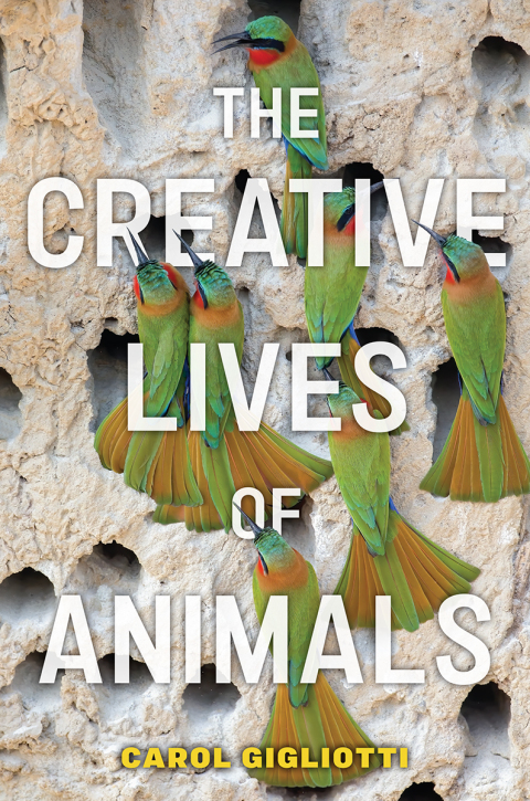 Cover image for book The Creative Lives of Animals