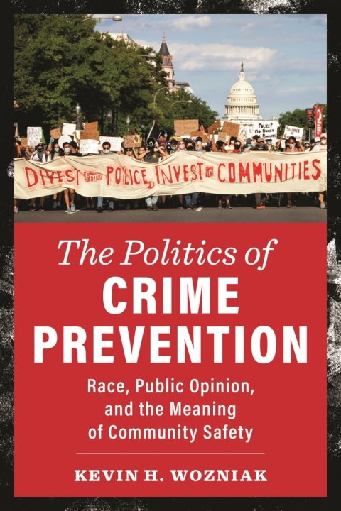 Cover image for book The Politics of Crime Prevention