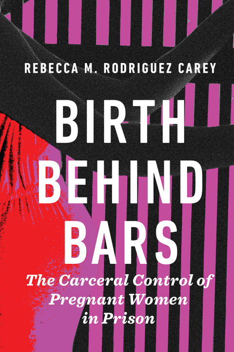 Cover image for book Birth Behind Bars