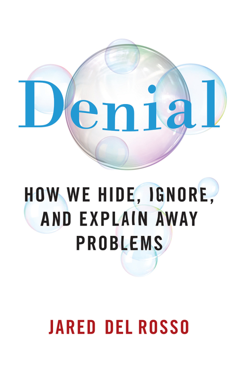 Cover image for book Denial