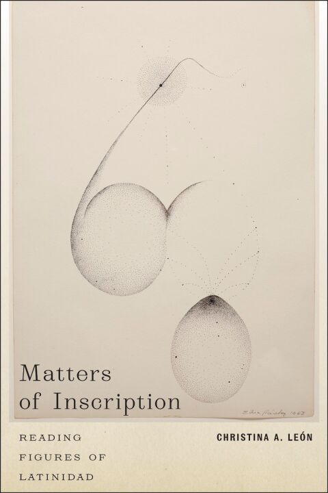 Cover image for book Matters of Inscription