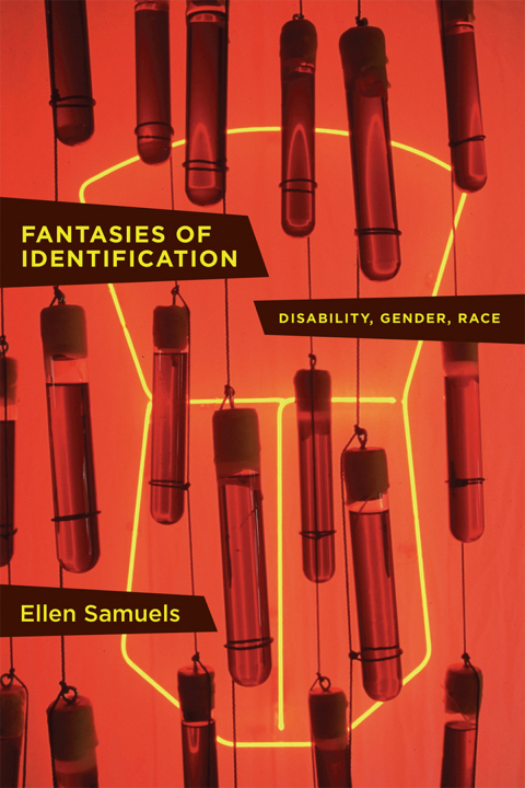 Cover image for book Fantasies of Identification