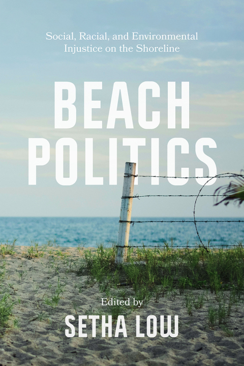 Cover image for book Beach Politics