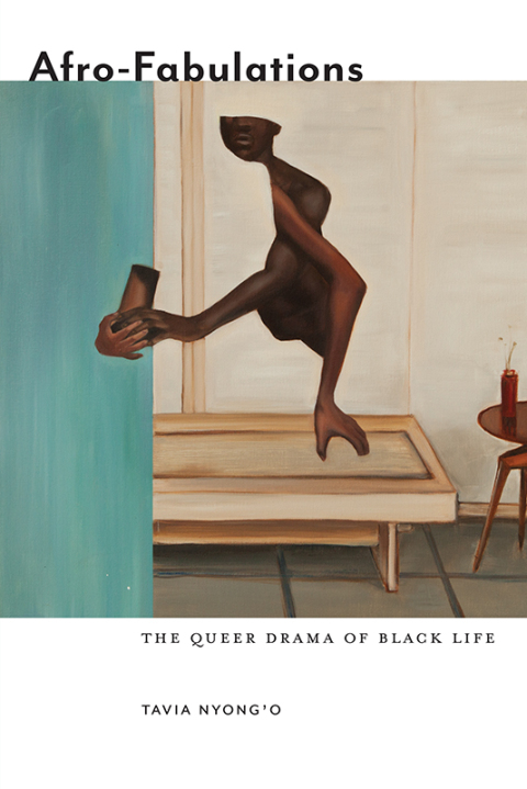 Cover image for book Afro-Fabulations