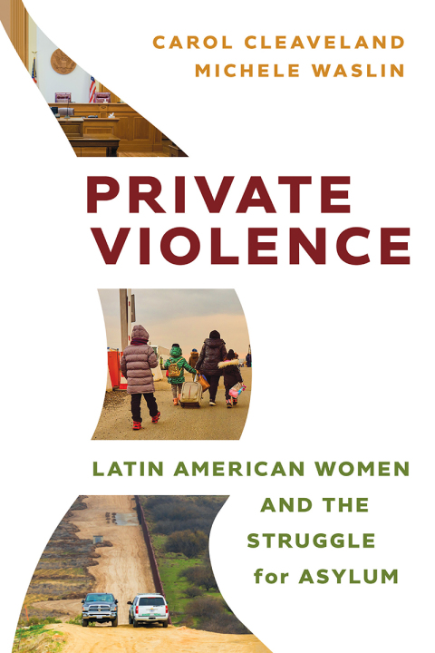 Cover image for book Private Violence