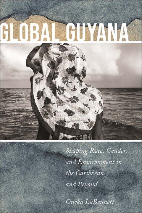 Cover image for book Global Guyana