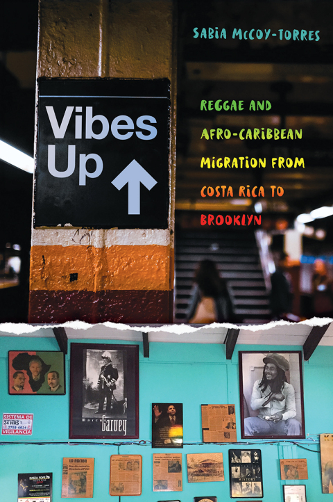 Cover image for book Vibes Up