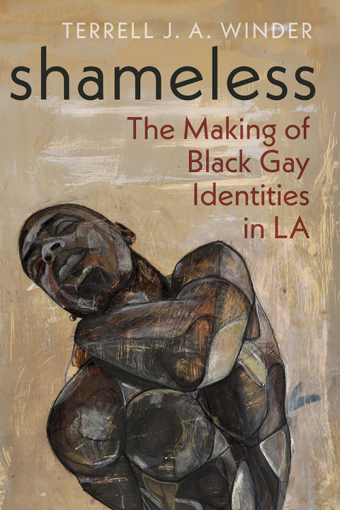 Cover image for book Shameless