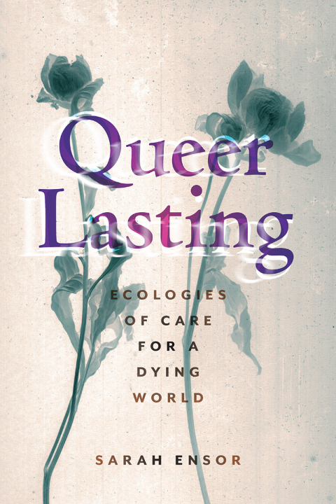 Cover image for book Queer Lasting