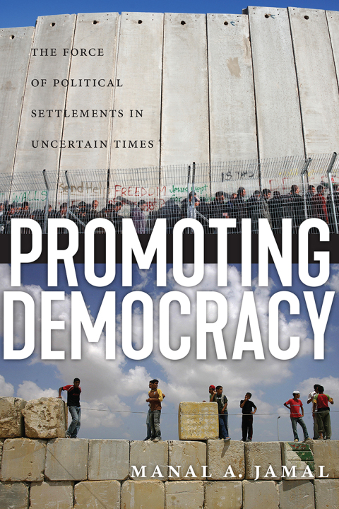 Cover image for book Promoting Democracy