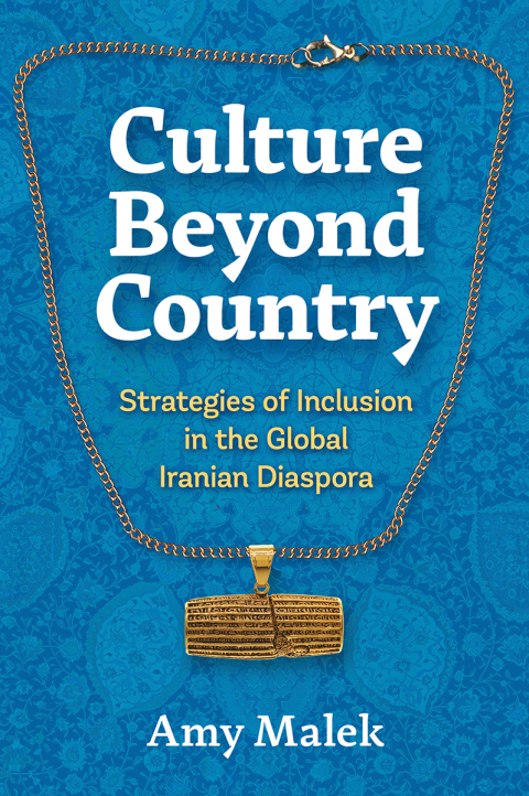 Cover image for book Culture Beyond Country