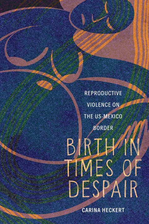 Cover image for book Birth in Times of Despair