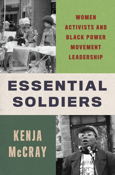 Cover image for book Essential Soldiers