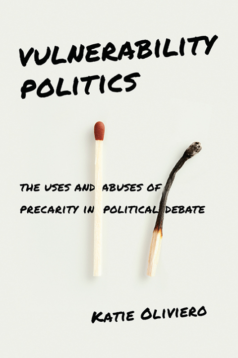 Cover image for book Vulnerability Politics