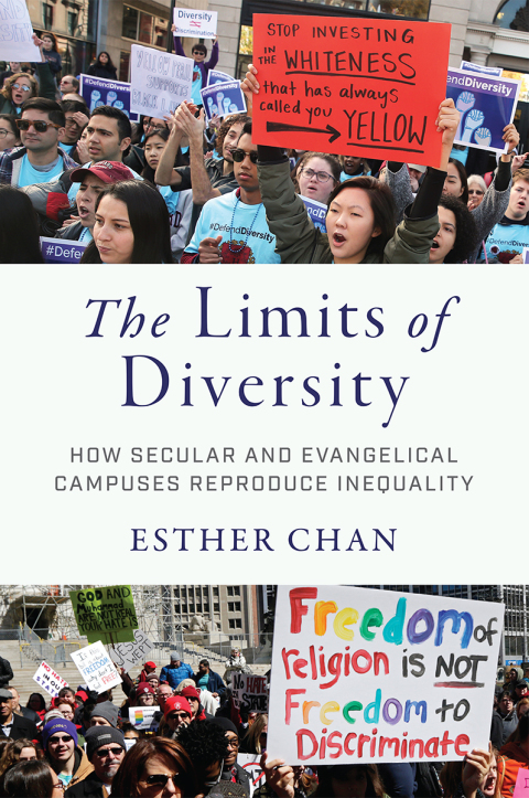 Cover image for book The Limits of Diversity
