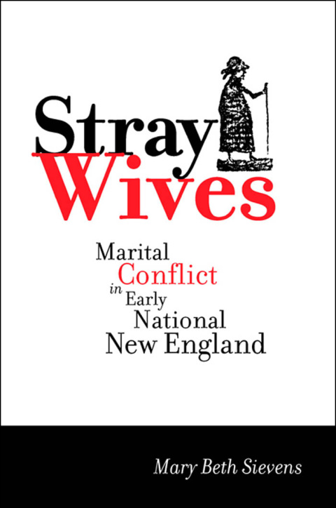 Cover image for book Stray Wives