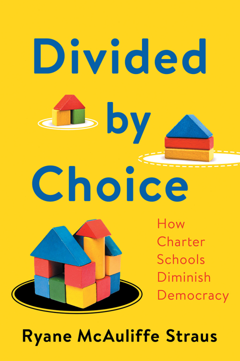 Cover image for book Divided by Choice