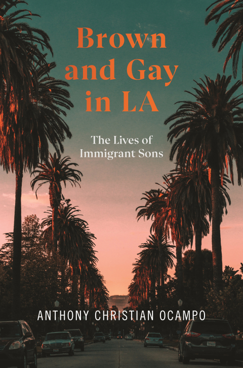Cover image for book Brown and Gay in LA