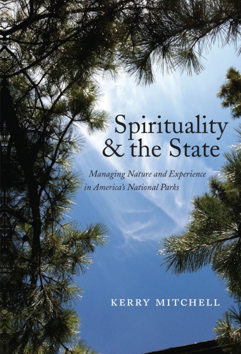 Cover image for book Spirituality and the State