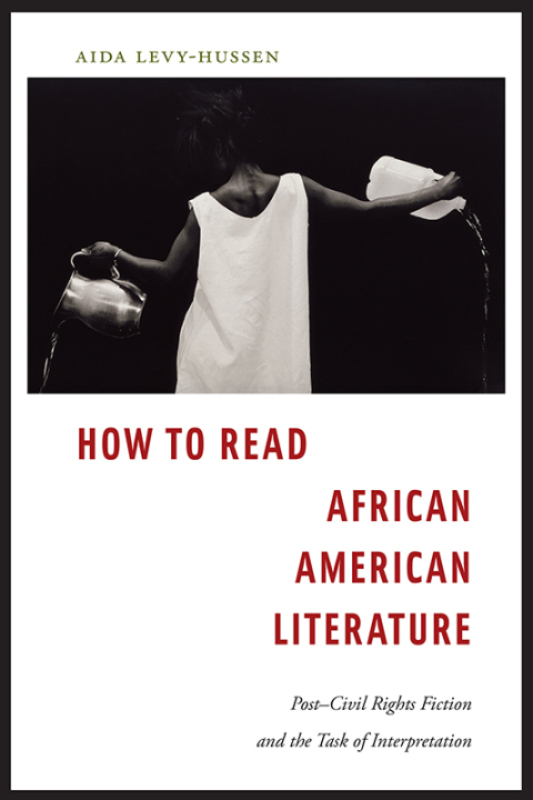 Cover image for book How to Read African American Literature