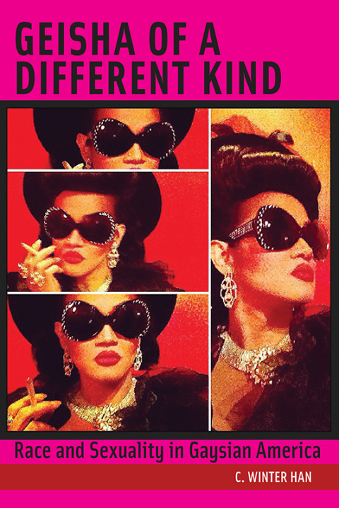 Cover image for book Geisha of a Different Kind