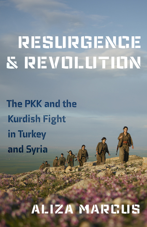 Cover image for book Resurgence and Revolution