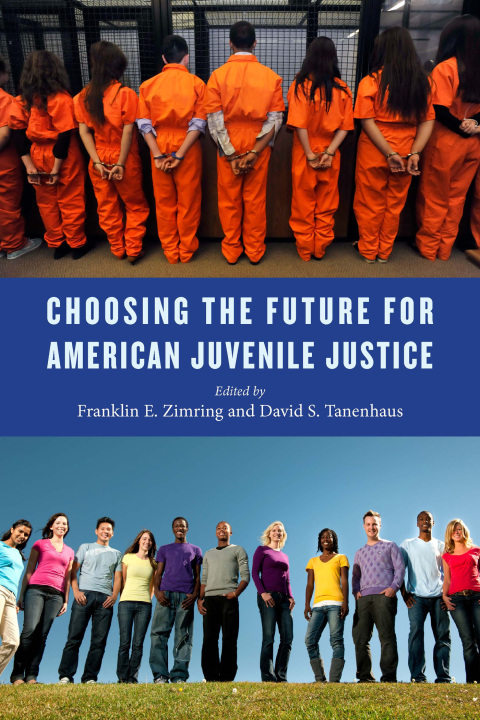 Cover image for book Choosing the Future for American Juvenile Justice